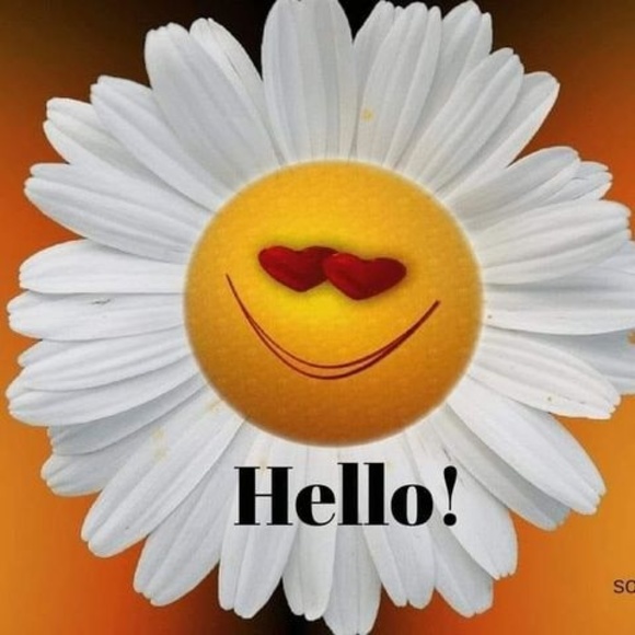 Meet your Posher, Belinda - Picture 1 of 1